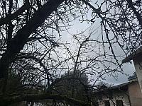 Olešná