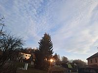 Olešná