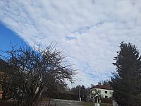 Olešná