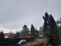 Olešná