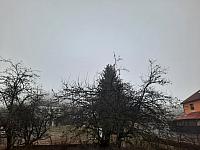 Olešná