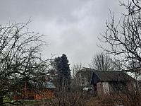 Olešná