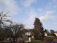 Olešná