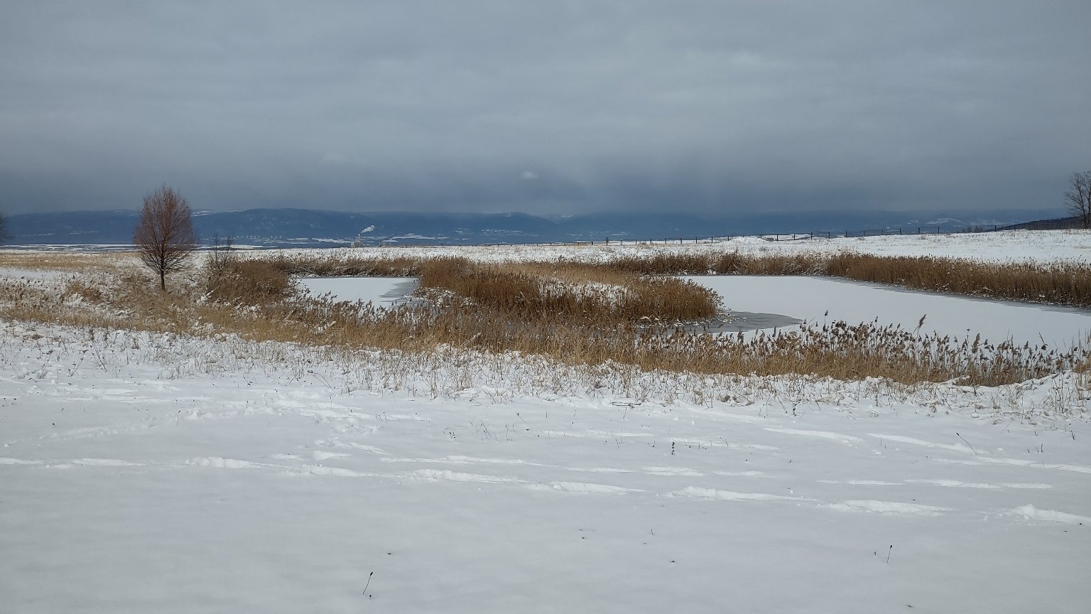 Radovesicka výsypka