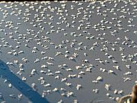 Hrnčiarovce nad Parnou