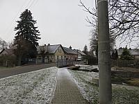 Třibřichy