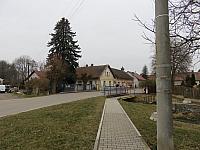 Třibřichy