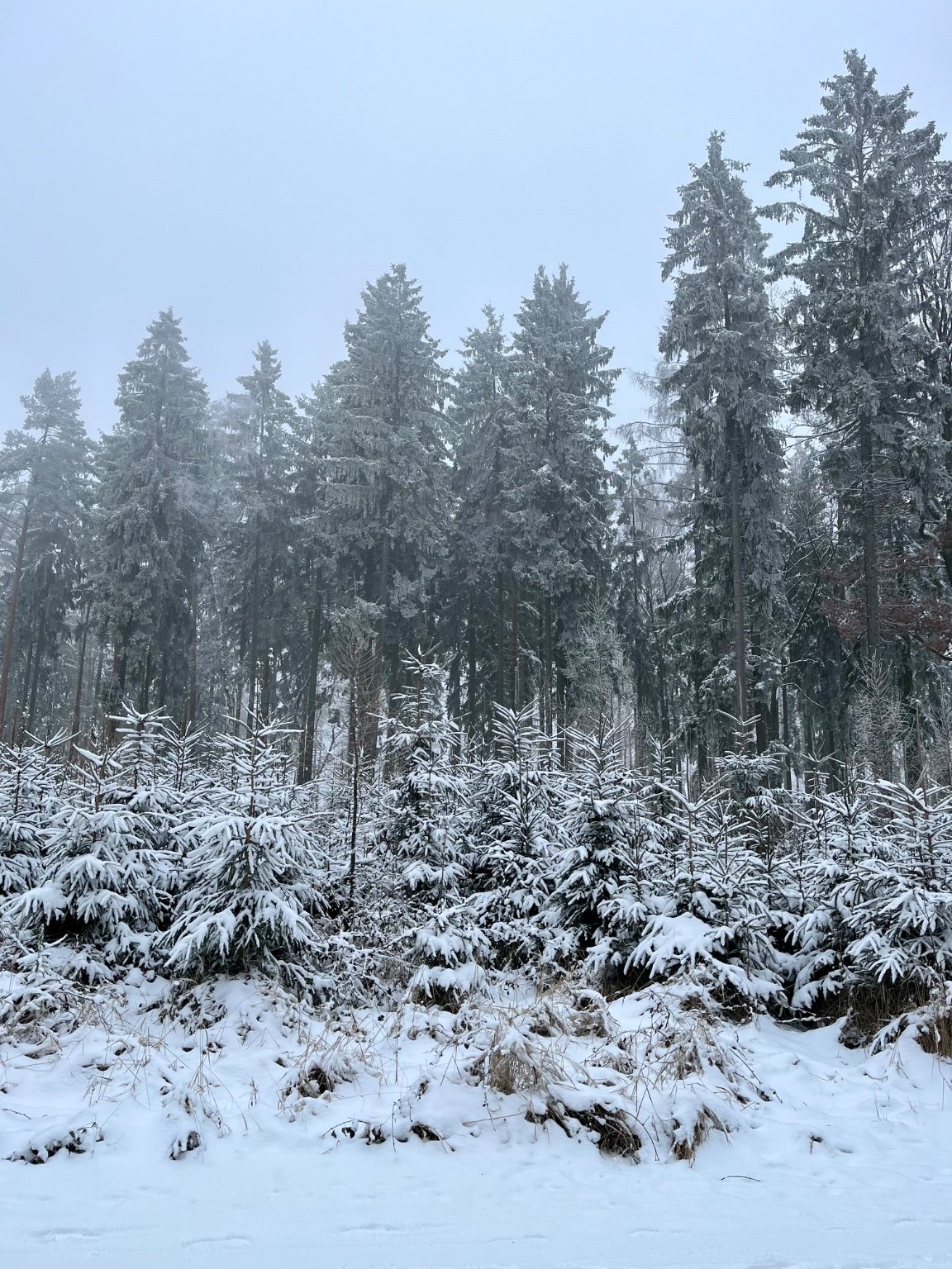 Kytín - Na Rovinách