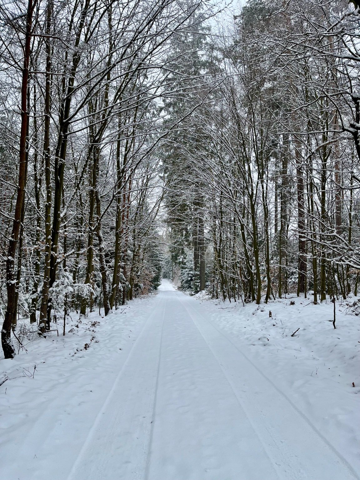 Kytín - Na Rovinách