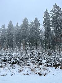 Kytín - Na Rovinách