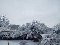 Kopřivnice, Vlčovice