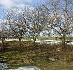 Příbram na Moravě