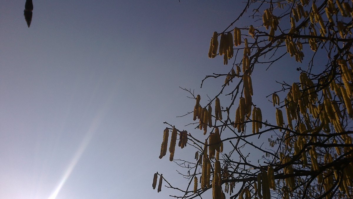 Velká Bíteš, Březka