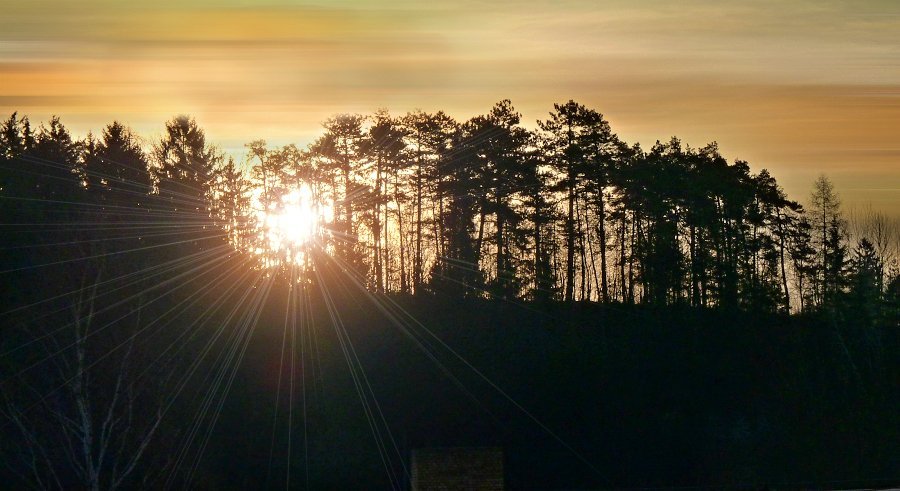 Olešnice na Moravě