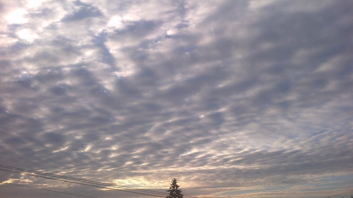 Velká Bíteš, Březka