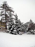 Nové Město na Moravě