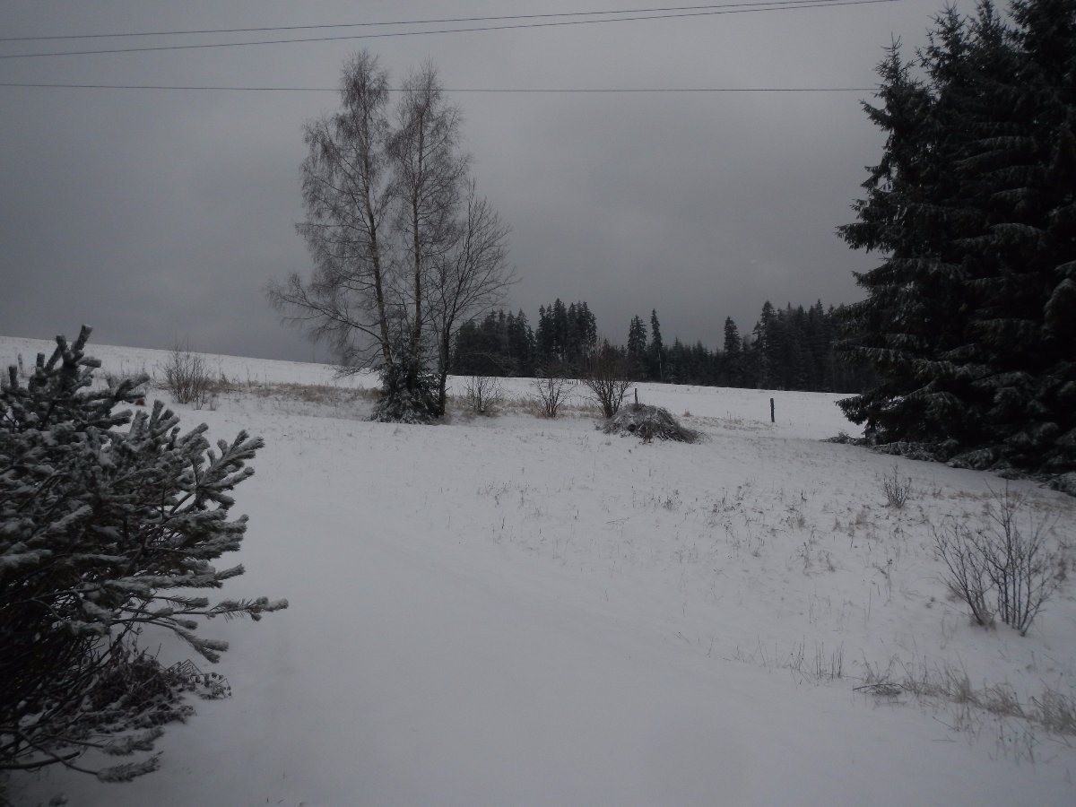 Rokytnice v Orlických horách