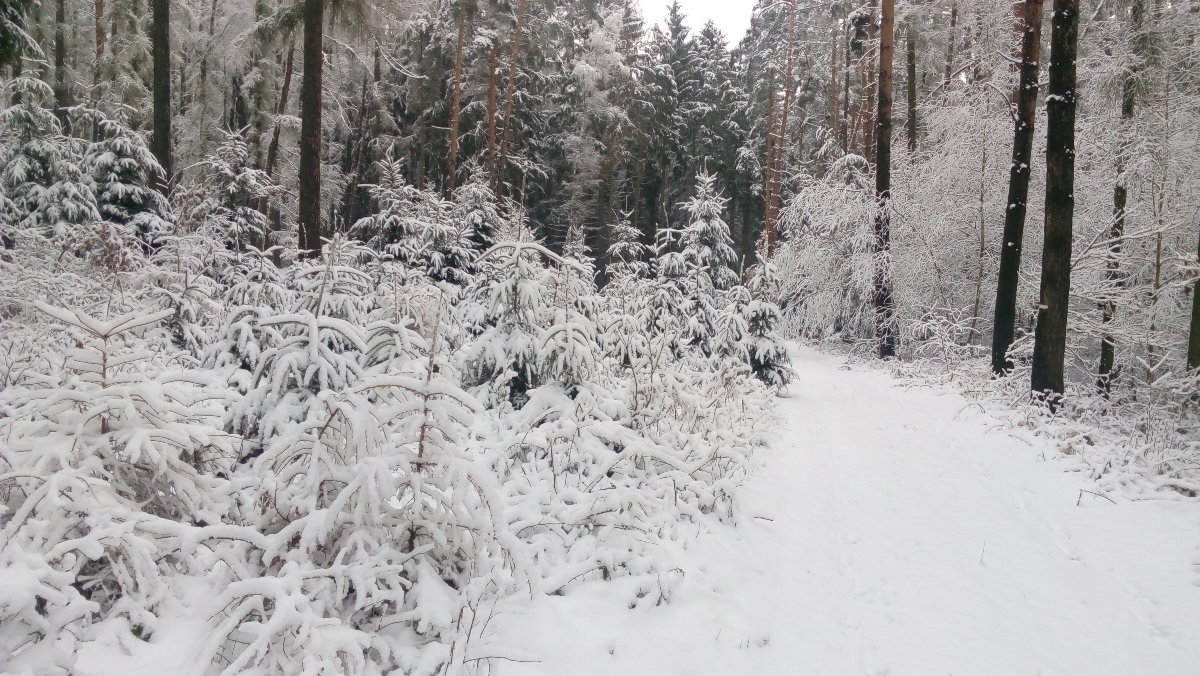 Merklín u Přeštic