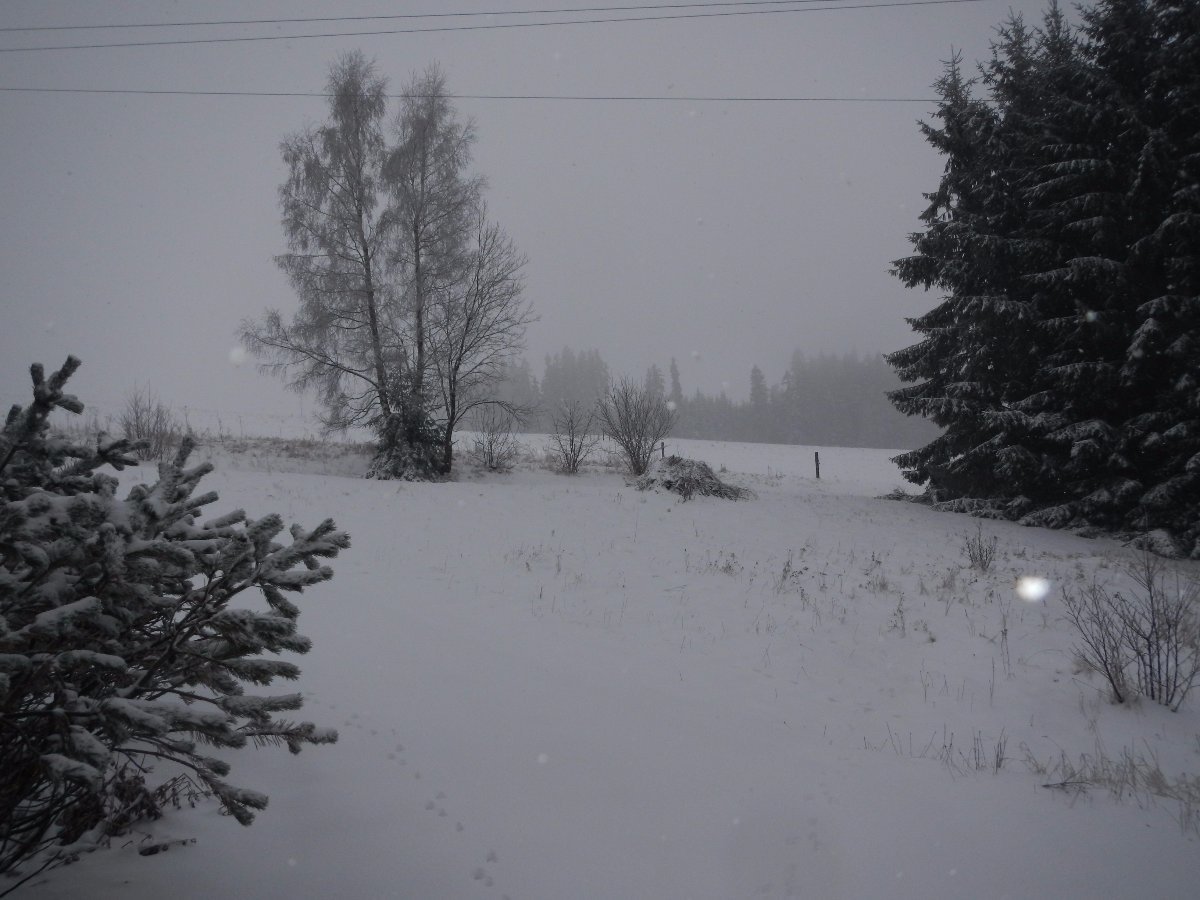 Rokytnice v Orlických horách