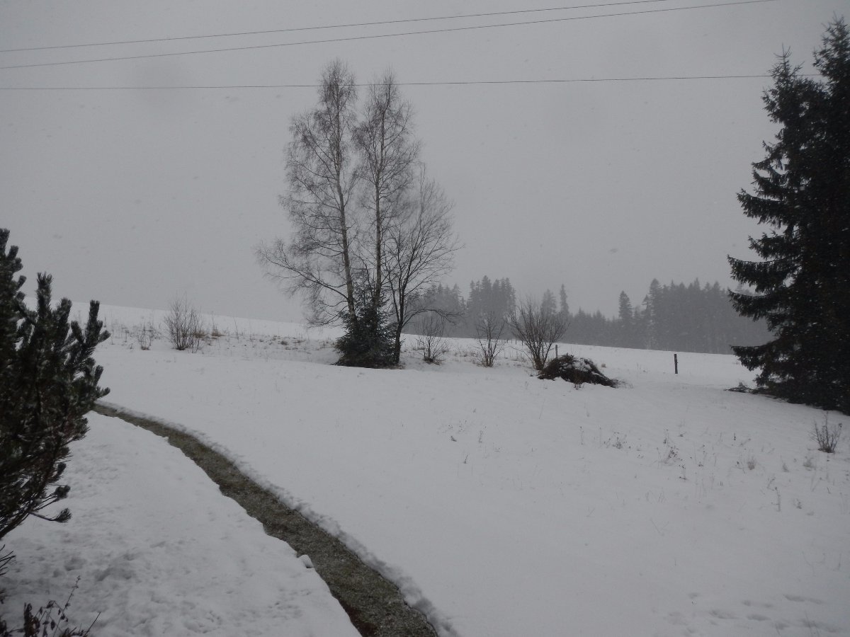 Rokytnice v Orlických horách