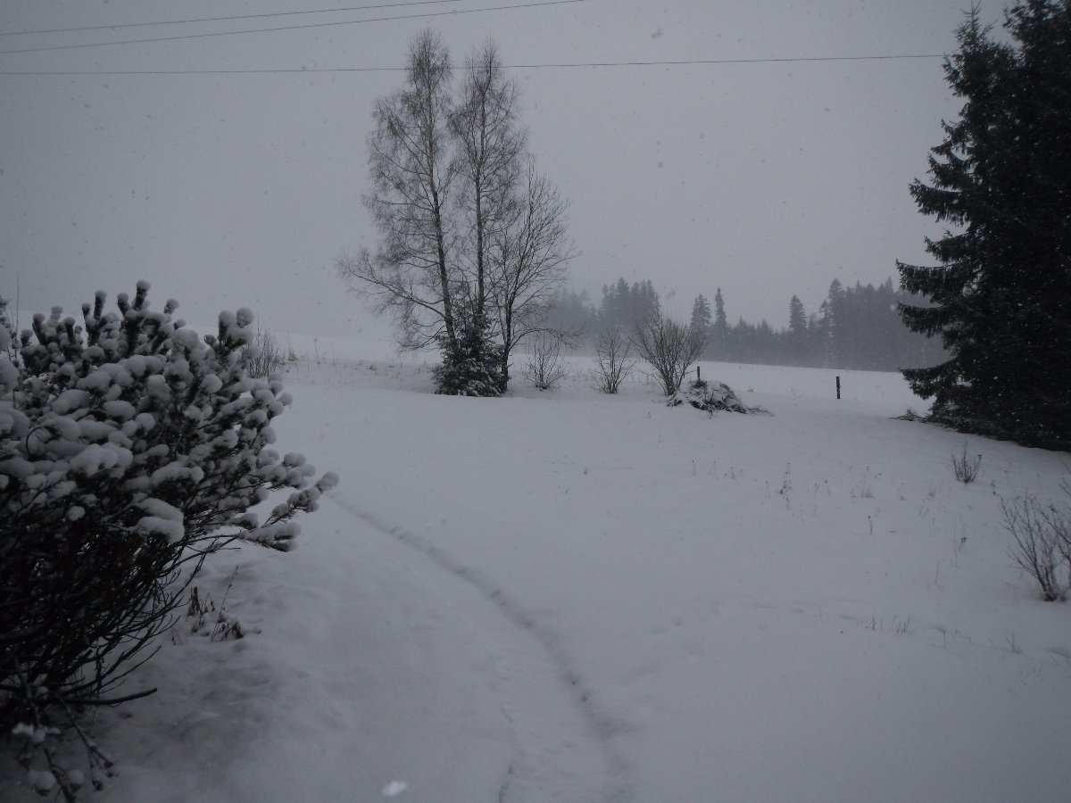 Rokytnice v Orlických horách