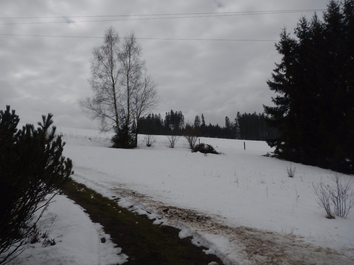 Rokytnice v Orlických horách