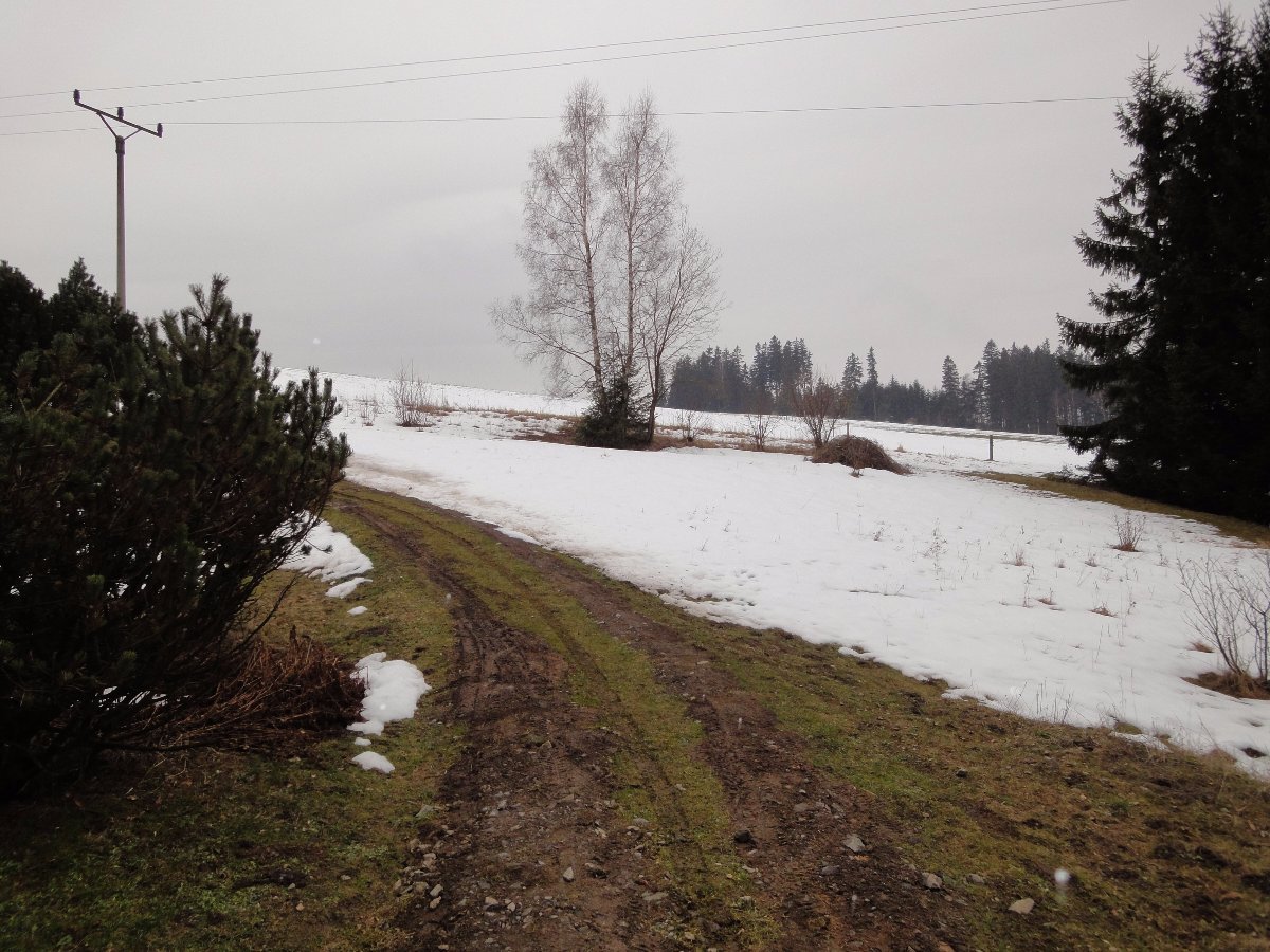 Rokytnice v Orlických horách