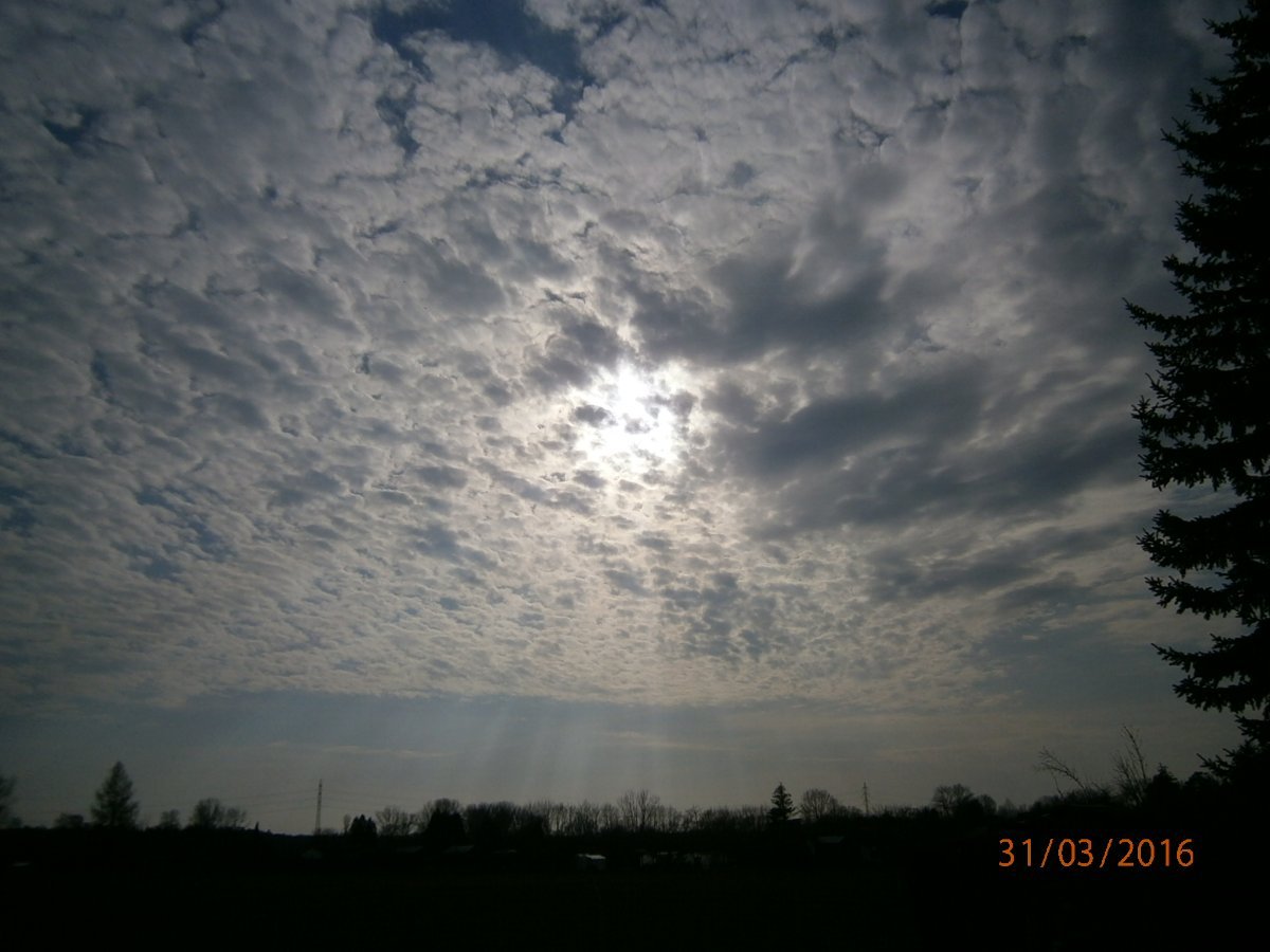 Třebechovice pod Orebem