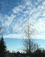 Hradec Králové - Třebeš