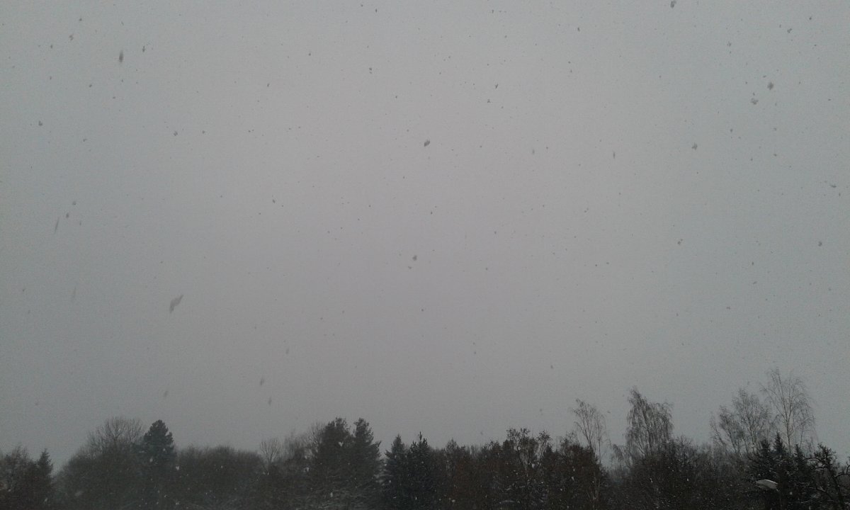 Jílové u Děčína