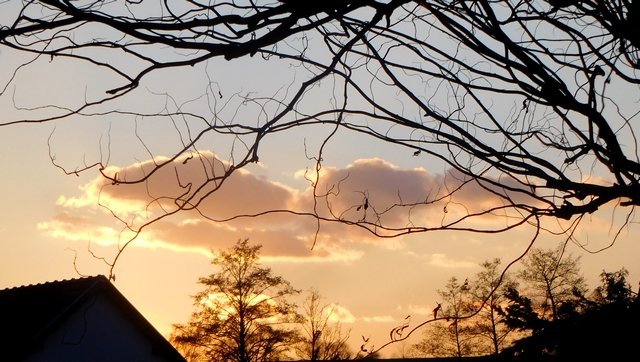 Valašské Meziříčí - Krhová