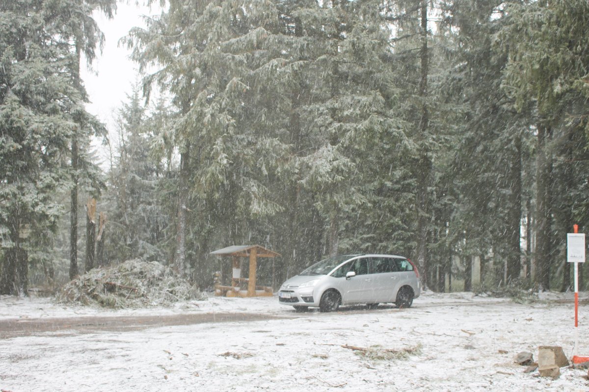 Třebouňský vrch u Toužimi