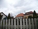 Třibřichy