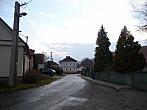 Třibřichy