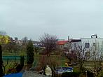 Hořice - Libonice