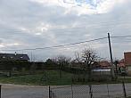 Třibřichy