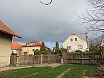 Třibřichy