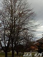 Slavičín,sídliště Vlára