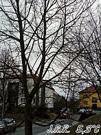 Slavičín,sídliště Vlára