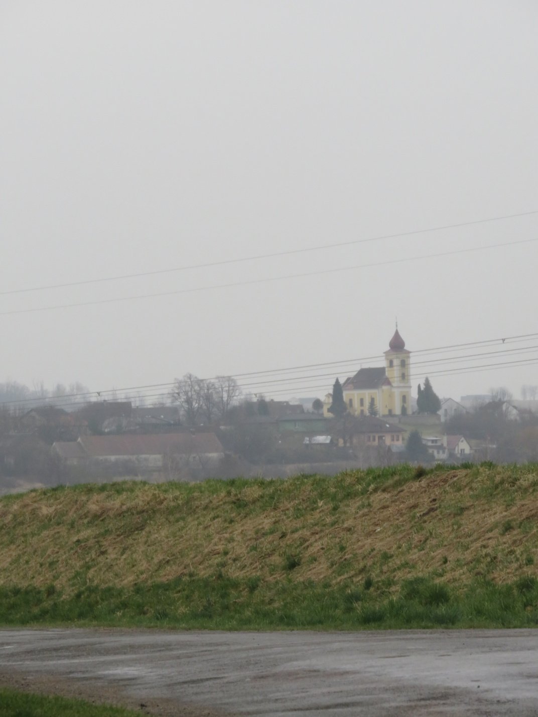 Třibřichy