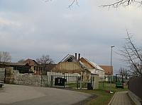 Třibřichy