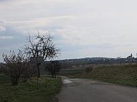 Třibřichy