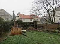 Třibřichy