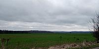 Lukovany