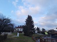 Olešná
