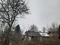 Olešná