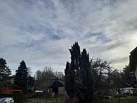 Olešná