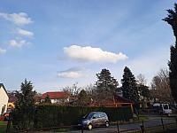 Olešná