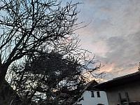 Olešná