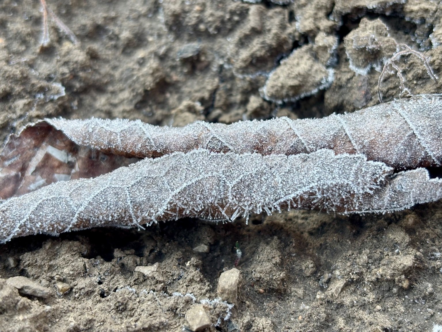 Hrnčiarovce nad Parnou